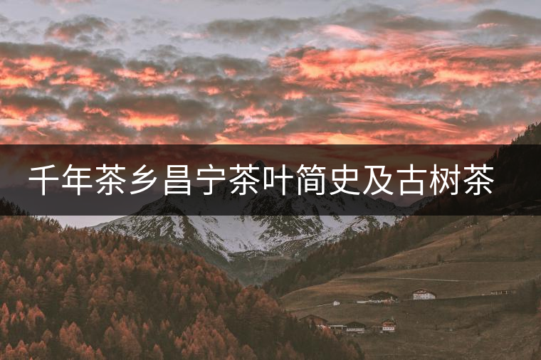 千年茶鄉(xiāng)昌寧茶葉簡史及古樹茶資源優(yōu)勢 千年茶鄉(xiāng)昌寧茶葉簡史及古樹茶資源優(yōu)勢