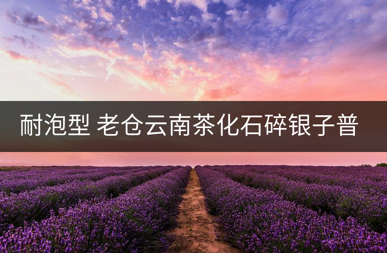 耐泡型 老倉云南茶化石碎銀子普洱熟茶糯米香茶老茶頭散茶葉250g 耐泡型 老倉云南茶化石碎銀子普洱熟茶糯米香茶老茶頭散茶葉250g