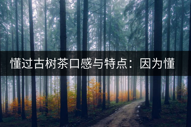 懂過古樹茶口感與特點：因為懂得，所以舍得用余生來珍惜！