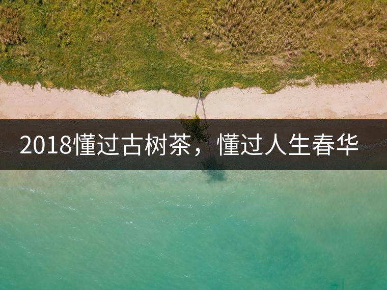 2018懂過古樹茶，懂過人生春華秋實(shí)！