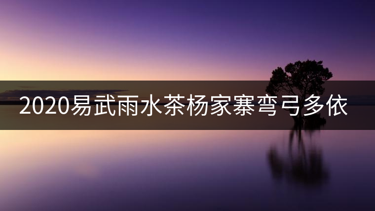 2020易武雨水茶楊家寨彎弓多依樹(shù) 2020易武雨水茶楊家寨彎弓多依樹(shù)