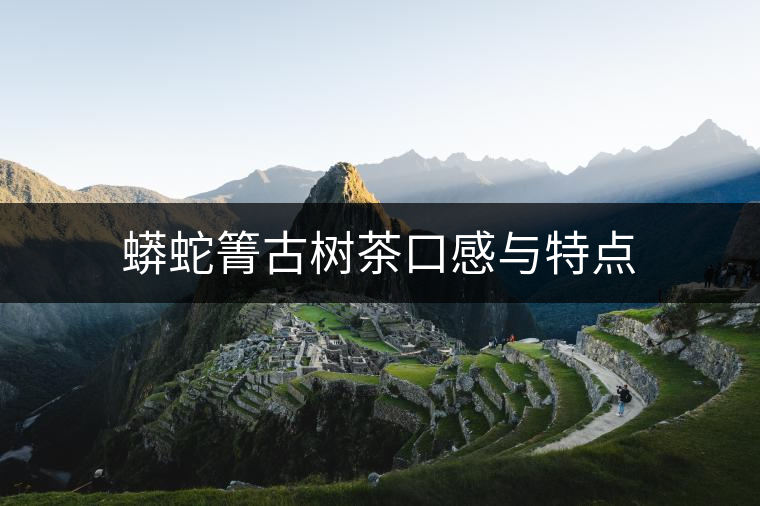 蟒蛇箐古樹茶口感與特點 蟒蛇箐古樹茶口感與特點