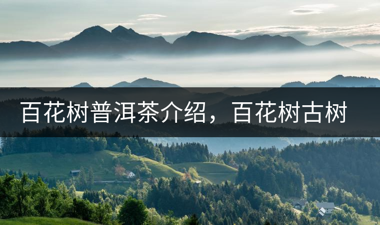 百花樹(shù)普洱茶介紹，百花樹(shù)古樹(shù)茶口感特點(diǎn)