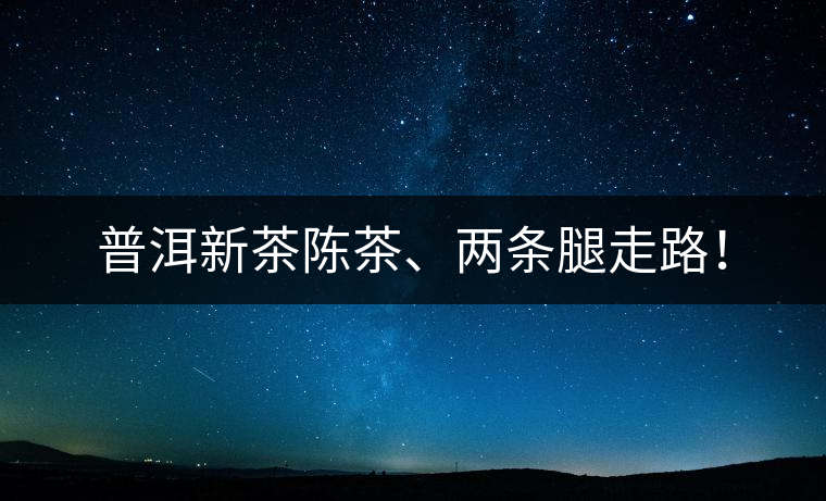 普洱新茶陳茶、兩條腿走路！