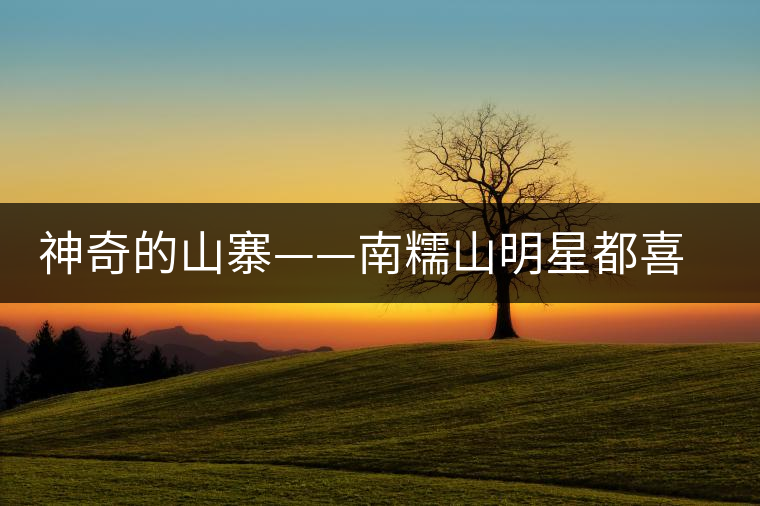 神奇的山寨——南糯山明星都喜歡