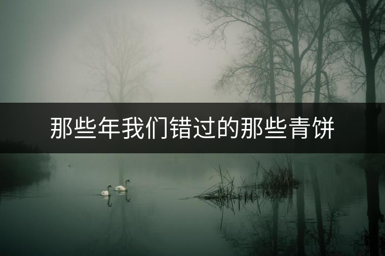 那些年我們錯過的那些青餅