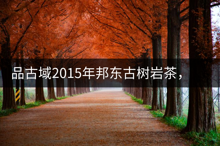 品古域2015年邦東古樹(shù)巖茶，感受邦東茶的魅力