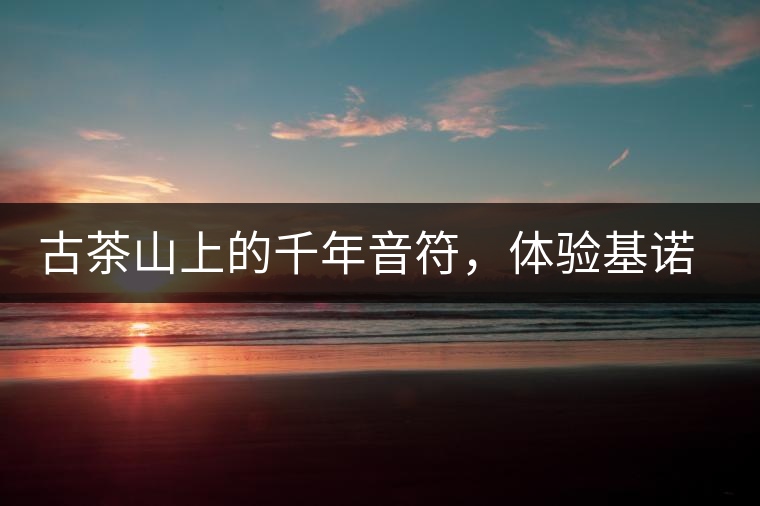 古茶山上的千年音符，體驗基諾山寨