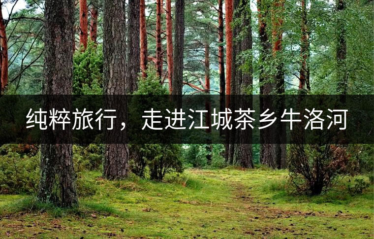 純粹旅行，走進(jìn)江城茶鄉(xiāng)牛洛河