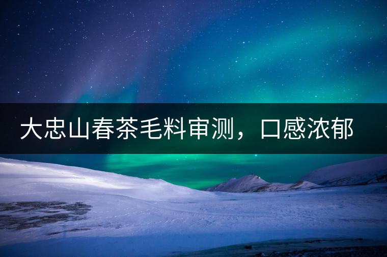 大忠山春茶毛料審測(cè)，口感濃郁花香與甜潤(rùn)口感相得益彰