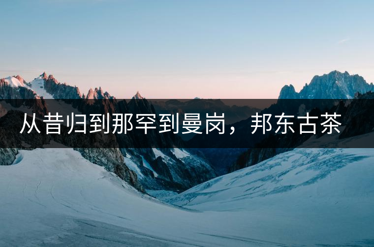 從昔歸到那罕到曼崗，邦東古茶藏著一條規(guī)律！