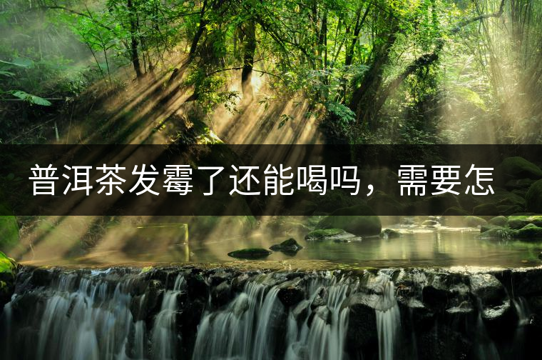 普洱茶發(fā)霉了還能喝嗎，需要怎么處理？