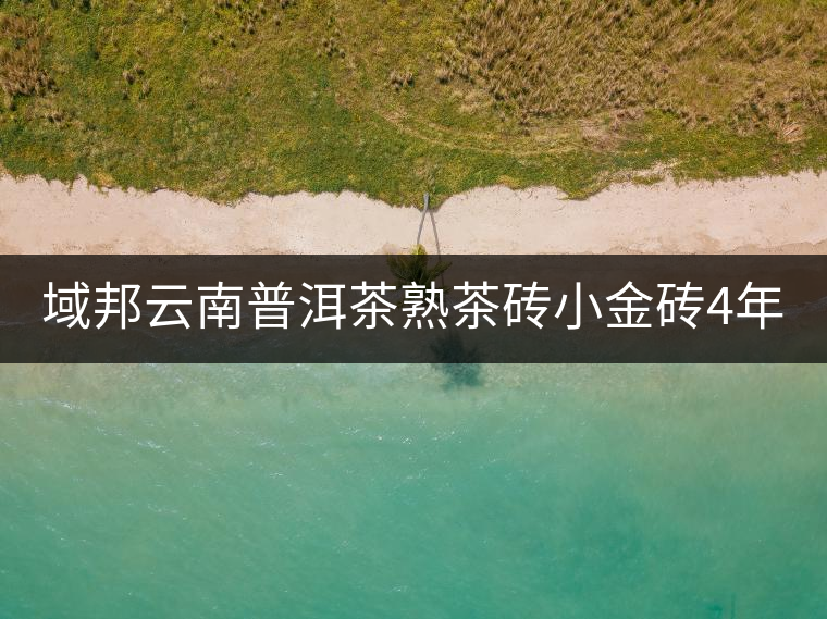 域邦云南普洱茶熟茶磚小金磚4年老茶250g