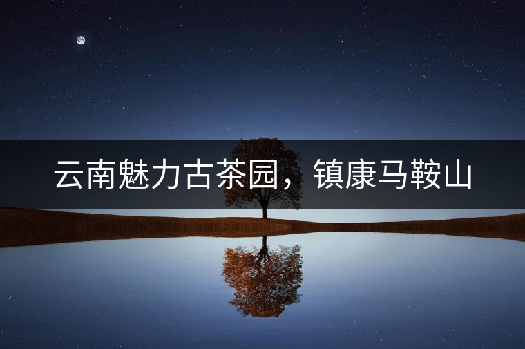 云南魅力古茶園，鎮(zhèn)康馬鞍山