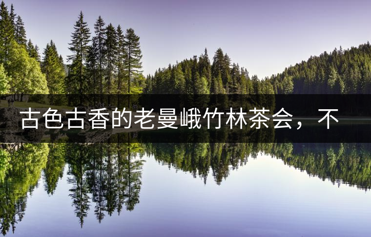 古色古香的老曼峨竹林茶會(huì)，不一樣的古樹茶