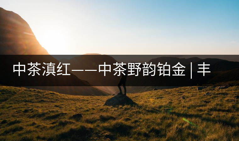 中茶滇紅——中茶野韻鉑金 | 豐苗挺秀，山野花香