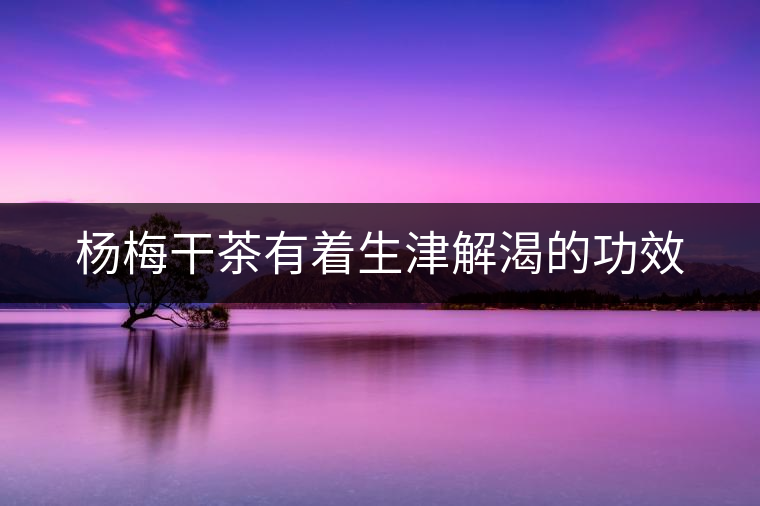 楊梅干茶有著生津解渴的功效