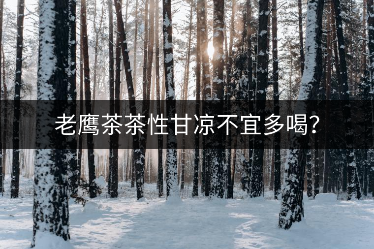 老鷹茶茶性甘涼不宜多喝？