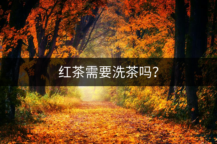 紅茶需要洗茶嗎？