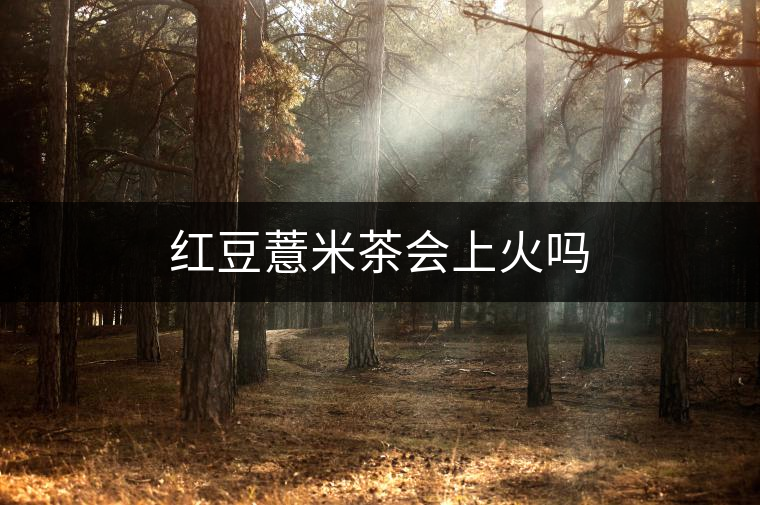 紅豆薏米茶會上火嗎 紅豆薏米茶會上火嗎