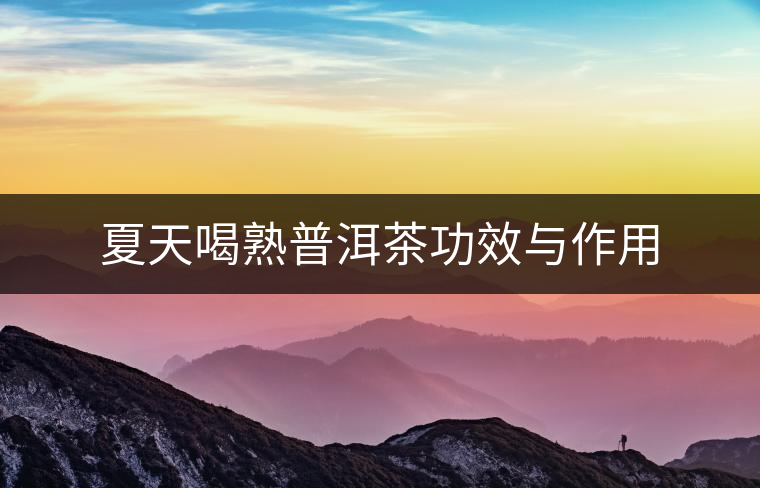 夏天喝熟普洱茶功效與作用