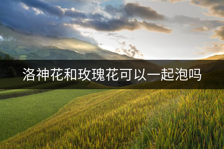 洛神花和玫瑰花可以一起泡嗎 洛神花和玫瑰花可以一起泡嗎