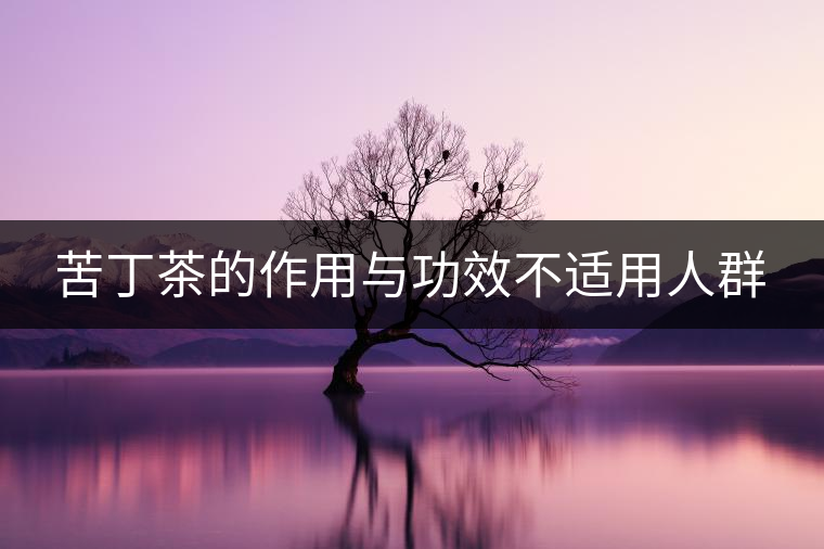 苦丁茶的作用與功效不適用人群 苦丁茶的作用與功效不適用人群