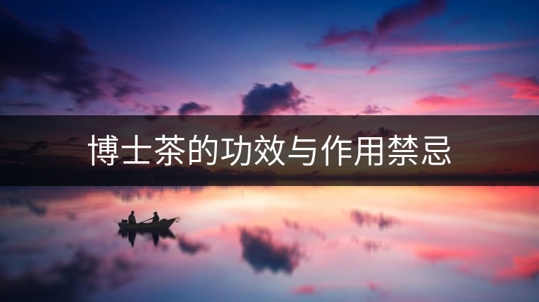 博士茶的功效與作用禁忌