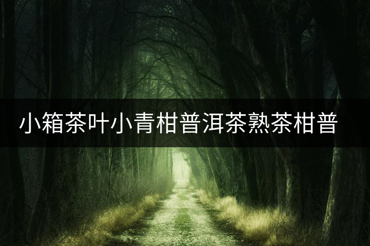 小箱茶葉小青柑普洱茶熟茶柑普茶新會(huì)陳皮橘普茶柑普茶禮盒送禮 小箱茶葉小青柑普洱茶熟茶柑普茶新會(huì)陳皮橘普茶柑普茶禮盒送禮