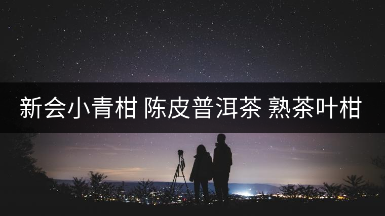 新會小青柑 陳皮普洱茶 熟茶葉柑普茶 云南橘桔普茶 香濃耐泡好喝