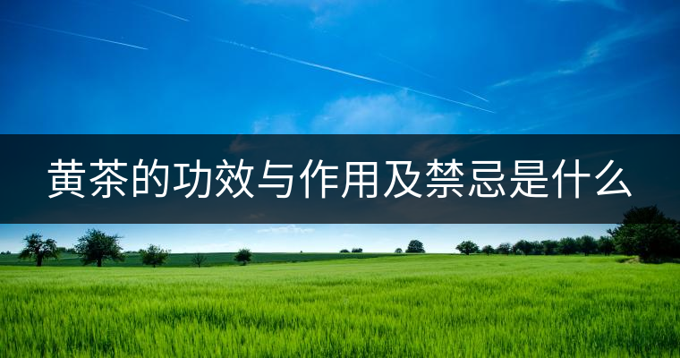 黃茶的功效與作用及禁忌是什么 黃茶的功效與作用及禁忌是什么