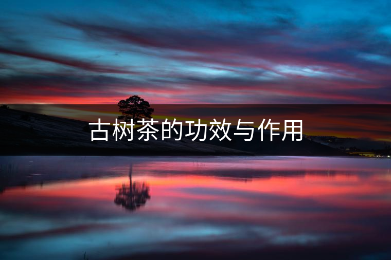 古樹茶的功效與作用