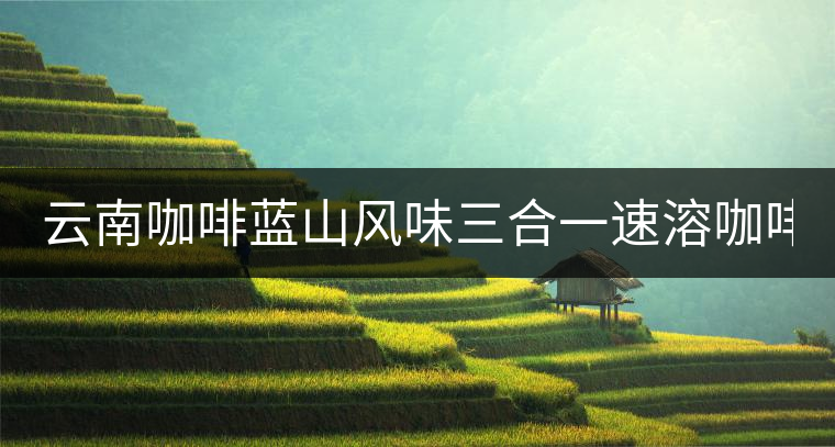 云南咖啡藍山風味三合一速溶咖啡粉袋裝 黑咖啡 提神學生40條普洱 云南咖啡藍山風味三合一速溶咖啡粉袋裝 黑咖啡 提神學生40條普洱