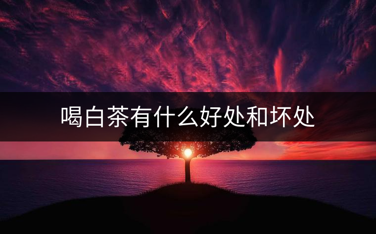 喝白茶有什么好處和壞處