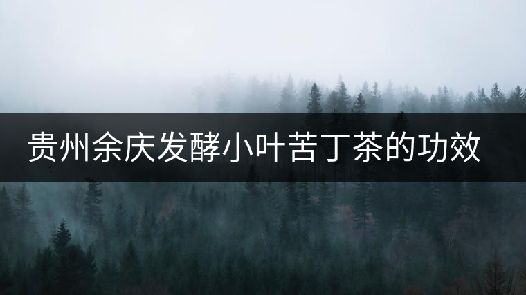 貴州余慶發(fā)酵小葉苦丁茶的功效與作用