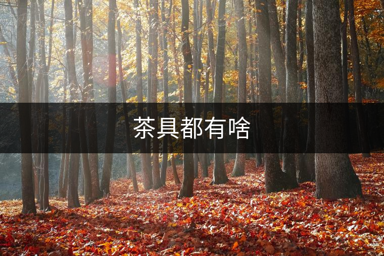 茶具都有啥 茶具都有啥