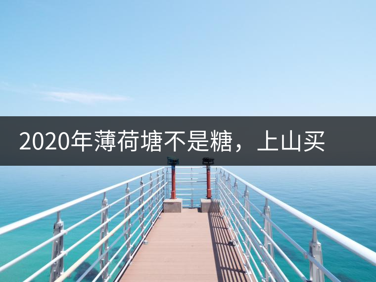2020年薄荷塘不是糖，上山買茶除了帶鈔票還得搖號-易武中聘號