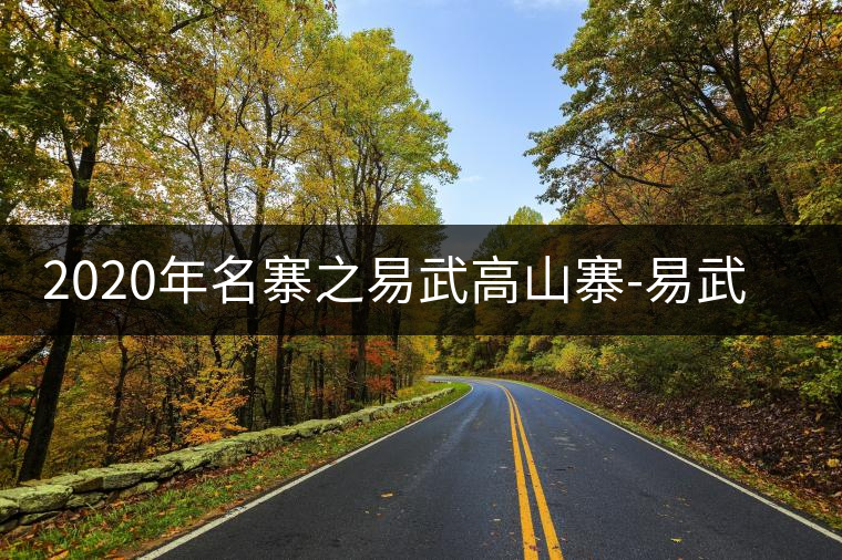 2020年名寨之易武高山寨-易武中聘號 2020年名寨之易武高山寨-易武中聘號