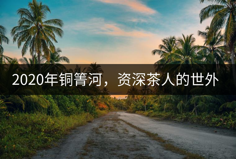 2020年銅箐河，資深茶人的世外桃源-易武-易武中聘號(hào)