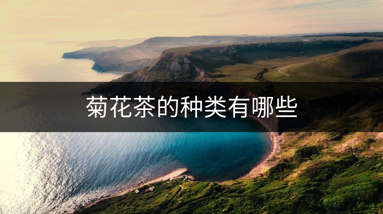 菊花茶的種類有哪些