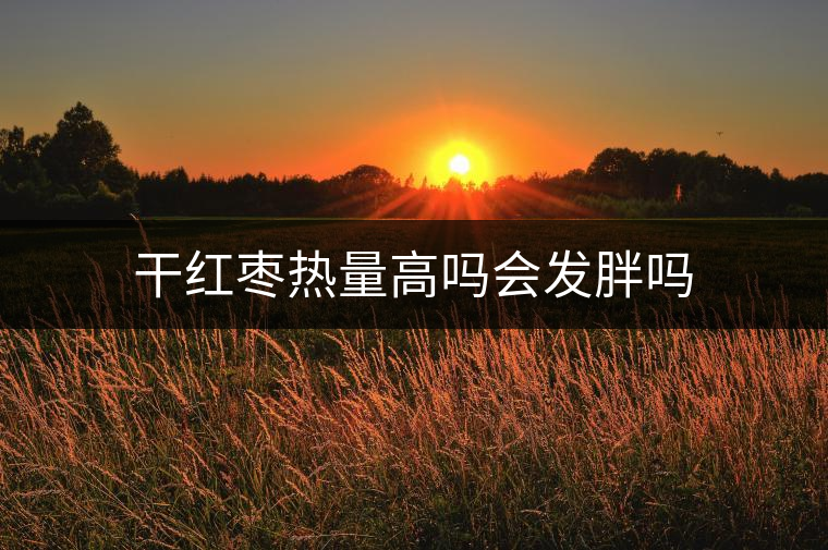 干紅棗熱量高嗎會發(fā)胖嗎 干紅棗熱量高嗎會發(fā)胖嗎