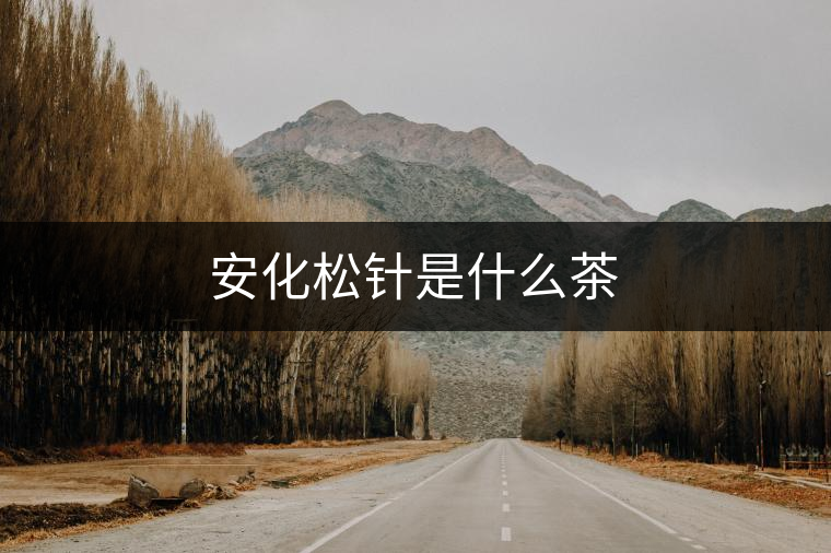 安化松針是什么茶