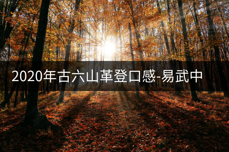 2020年古六山革登口感-易武中聘號