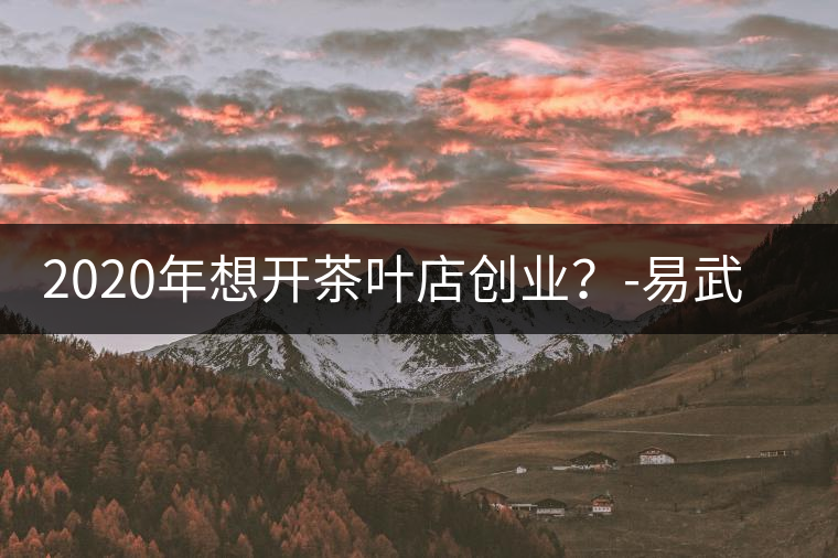 2020年想開茶葉店創(chuàng)業(yè)？-易武中聘號(hào)