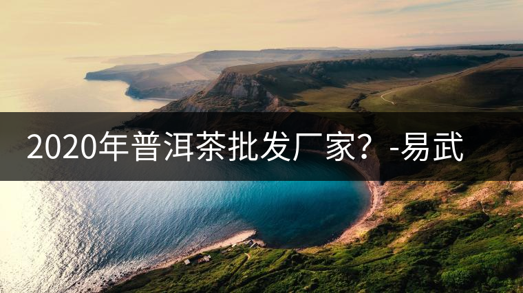 2020年普洱茶批發(fā)廠家？-易武中聘號