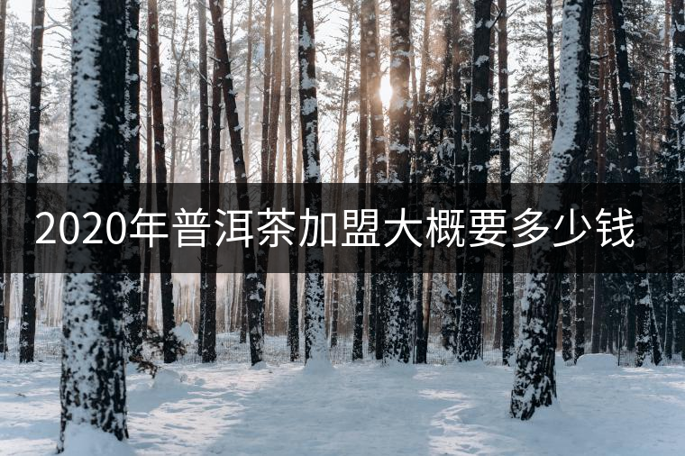 2020年普洱茶加盟大概要多少錢?-易武中聘號(hào) 2020年普洱茶加盟大概要多少錢?-易武中聘號(hào)