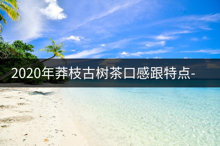 2020年莽枝古樹茶口感跟特點-易武中聘號 2020年莽枝古樹茶口感跟特點-易武中聘號