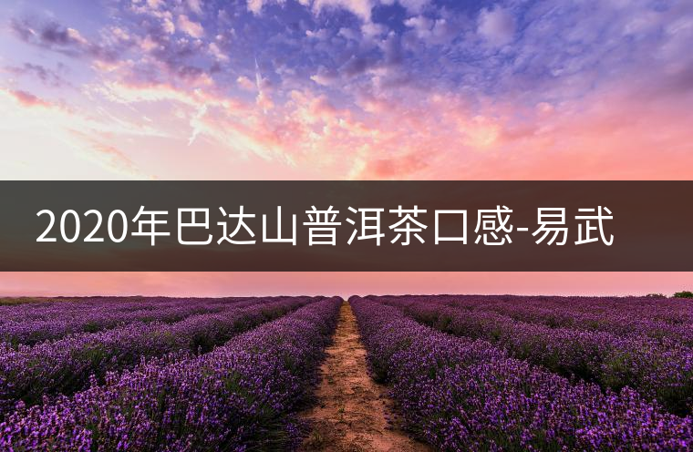 2020年巴達山普洱茶口感-易武中聘號