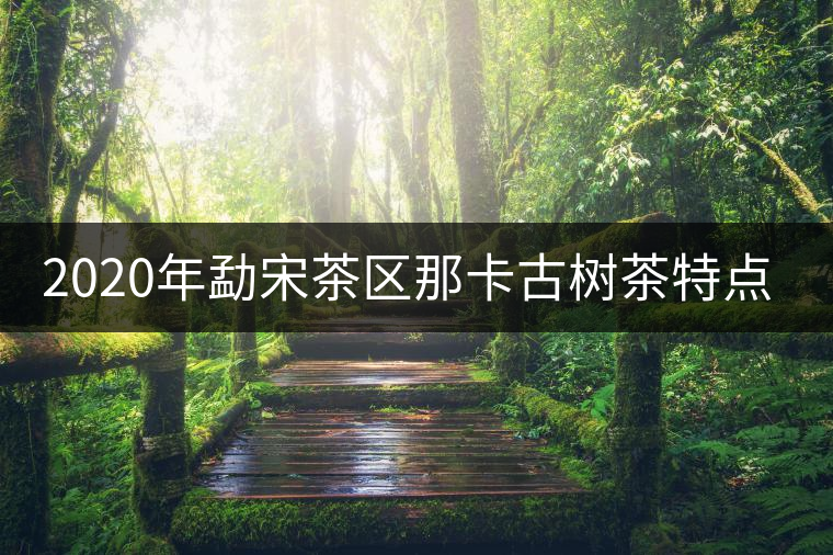 2020年勐宋茶區(qū)那卡古樹茶特點-易武中聘號 2020年勐宋茶區(qū)那卡古樹茶特點-易武中聘號