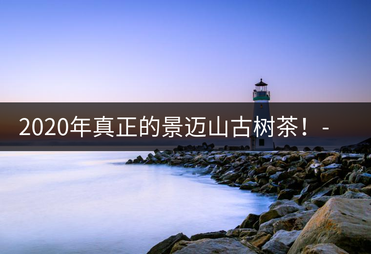 2020年真正的景邁山古樹茶！-易武中聘號(hào)